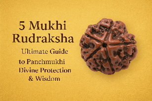 5 Mukhi Rudraksha – Ultimate Guide to Panchmukhi Divine Protection & Wisdom