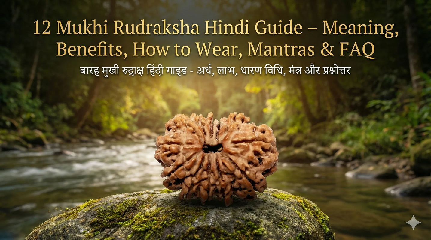 12 Mukhi Rudraksha Hindi Guide โ Meaning, Benefits, How to Wear, Mantras & FAQ