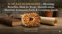 16 Mukhi Rudraksha – Meaning, Benefits, How to Wear, Identification, Mantras, Unknown Facts & Complete Guide