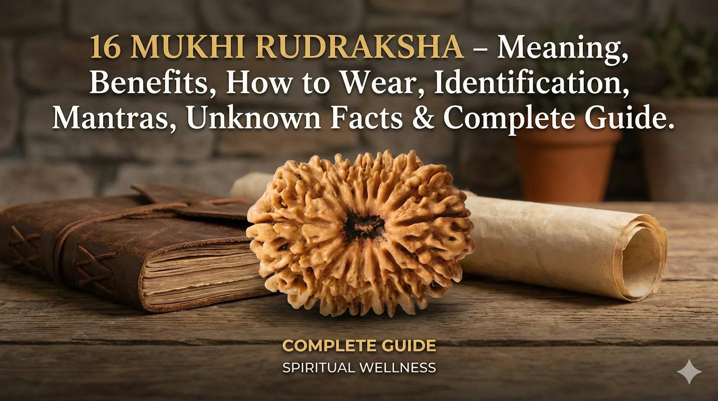 16 Mukhi Rudraksha – Meaning, Benefits, How to Wear, Identification, Mantras, Unknown Facts & Complete Guide