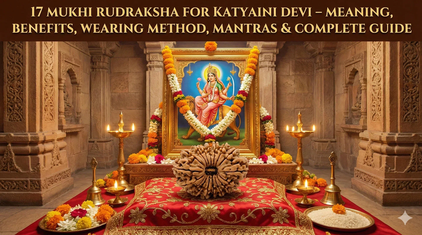 17 Mukhi Rudraksha – Arth, Labh, Pahchan, Dharan Vidhi, Mantra & Sampoorna Margdarshan