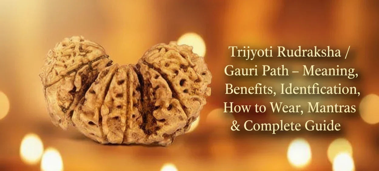 Trijyoti Rudraksha / Gauri Path โ Meaning, Benefits, Identification, How to Wear, Mantras & Complete Guide