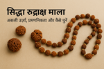सिद्धा रुद्राक्ष माला: असली ऊर्जा, प्रमाणिकता और कैसे चुनें (राह दिखाने वाला गाइड)