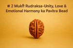 2 Mukhi Rudraksha – Unity, Love & Emotional Harmony ka Pavitra Bead
