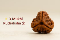 3 Mukhi Rudraksha – The Fiery Bead of Courage, Karma Cleansing & New Beginnings