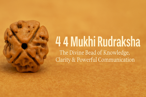 4 Mukhi Rudraksha – The Divine Bead of Knowledge, Clarity & Powerful Communication