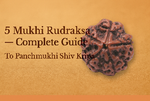 5 Mukhi Rudraksha – Complete Guide To Panchmukhi Shiv Kripa