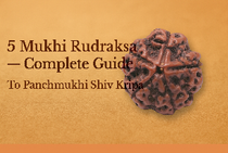 5 Mukhi Rudraksha – Complete Guide To Panchmukhi Shiv Kripa