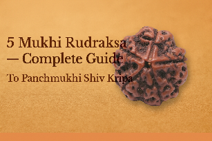 5 Mukhi Rudraksha – Complete Guide To Panchmukhi Shiv Kripa