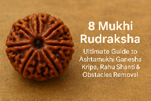 8 Mukhi Rudraksha – Ultimate Guide to Ashtamukhi Ganesha Kripa, Rahu Shanti & Obstacles Removal