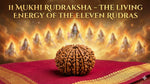 11 MUKHI RUDRAKSHA – THE LIVING ENERGY OF THE ELEVEN RUDRAS