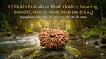 12 Mukhi Rudraksha  Hindi Guide – Meaning, Benefits, How to Wear, Mantras &amp; FAQ