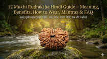 12 Mukhi Rudraksha  Hindi Guide – Meaning, Benefits, How to Wear, Mantras &amp; FAQ