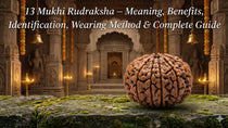 13 Mukhi Rudraksha – Meaning, Benefits, Identification, Wearing Method & Complete Guide