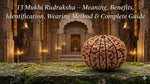 13 Mukhi Rudraksha – Meaning, Benefits, Identification, Wearing Method & Complete Guide