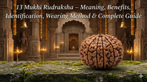 13 Mukhi Rudraksha – Meaning, Benefits, Identification, Wearing Method & Complete Guide