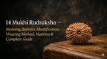 14 Mukhi Rudraksha – Meaning, Benefits, Identification, Wearing Method, Mantras & Complete Guide