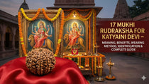17 Mukhi Rudraksha – Meaning, Benefits, Wearing Method, Mantras, Identification & Complete Guide