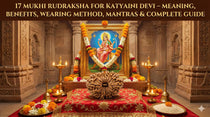 17 Mukhi Rudraksha – Arth, Labh, Pahchan, Dharan Vidhi, Mantra & Sampoorna Margdarshan