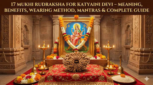 17 Mukhi Rudraksha – Arth, Labh, Pahchan, Dharan Vidhi, Mantra & Sampoorna Margdarshan