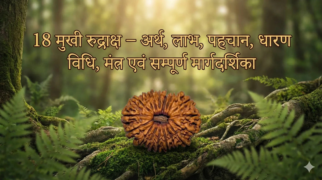 18 Mukhi Rudraksha – Arth, Labh, Pehchan, Dharan Vidhi, Mantra, Sampoorna Margdarshika