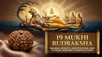 19 Mukhi Rudraksha – Meaning, Benefits, Identification, How to Wear, Mantras & Complete Guide