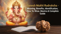 Ganesh Mukhi Rudraksha - Meaning, Benefits. Identification, How To Wear, Mantra & Complete Guide&nbsp;