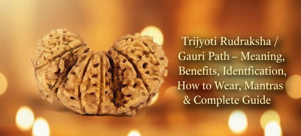 Trijyoti Rudraksha / Gauri Path – Meaning, Benefits, Identification, How to Wear, Mantras &amp; Complete Guide
