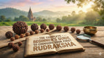 The Complete Beginner’s Guide to Choosing Your First Rudraksha