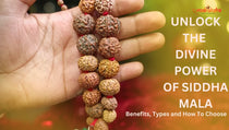 SIDDHA MALA Image