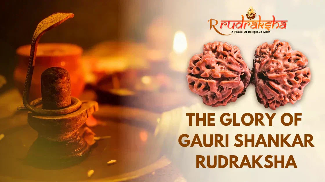 The Glory Glory Of Gauri Shankar Rudraksha