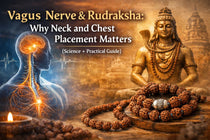 Vagus Nerve & Rudraksha: Why Neck and Chest Placement Matters (Science + Practical Guide)