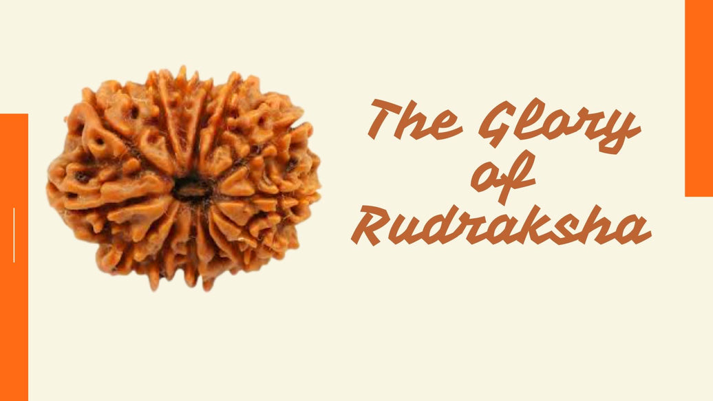 THE GLORY OF RUDRAKSHA