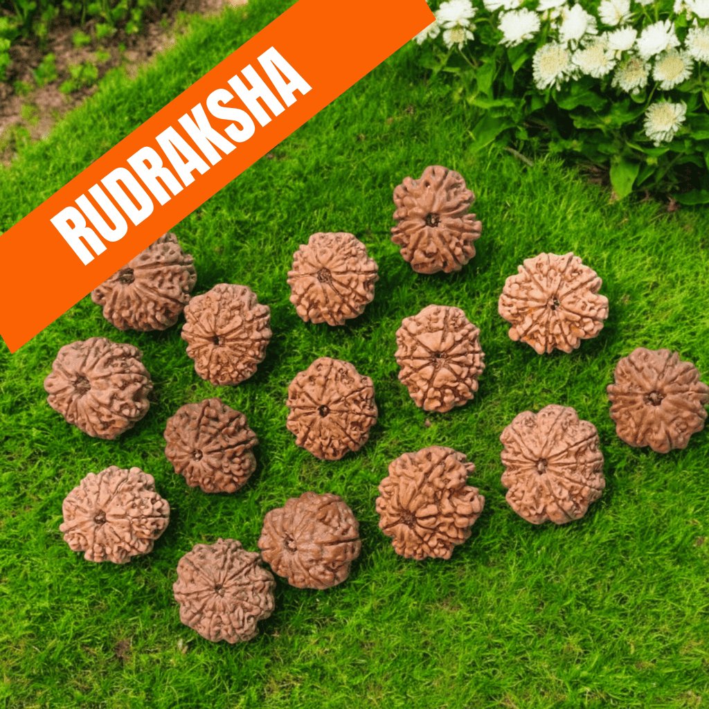 Rudraksha Mukhi Beads