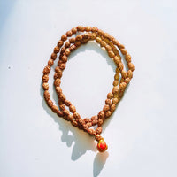 Lab Certified 2 Mukhi Rudraksha Mala