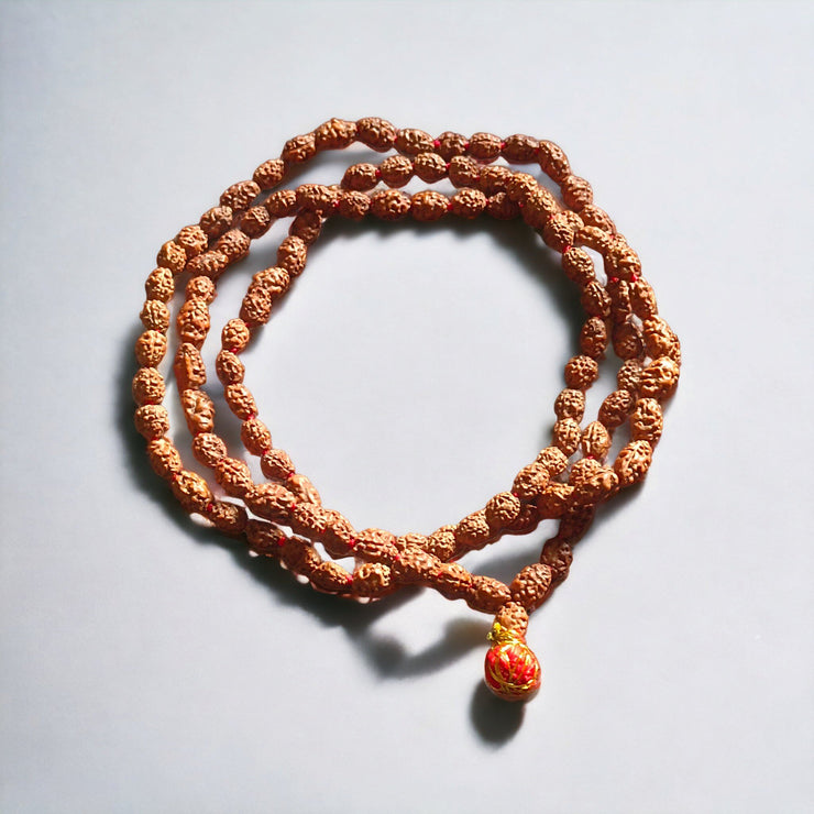 Lab Certified 2 Mukhi Rudraksha Mala