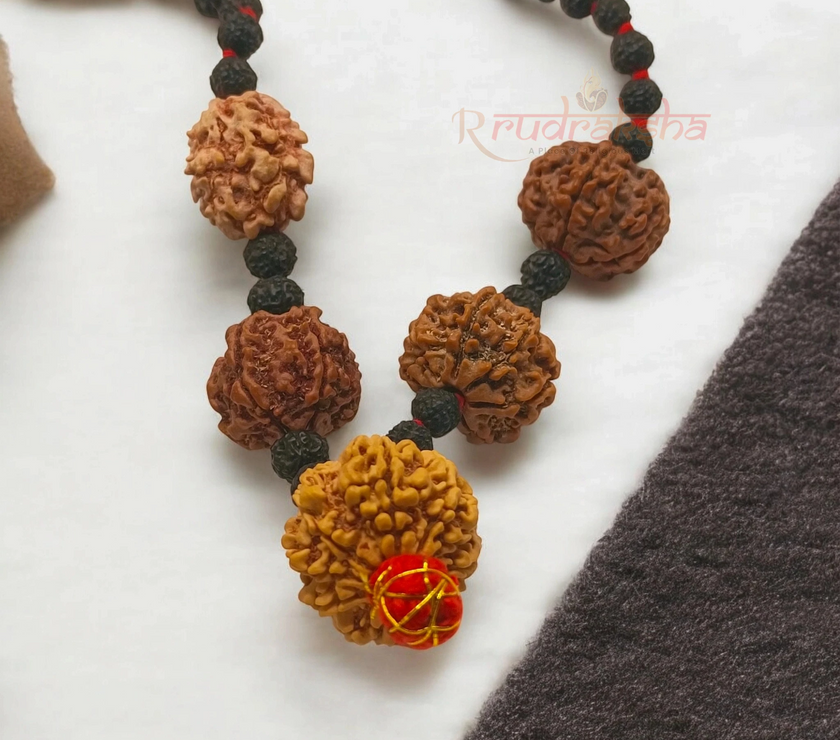 Shakti Samridhi Mala / 2,5,7,9 Mukhi Rudraksha Combination