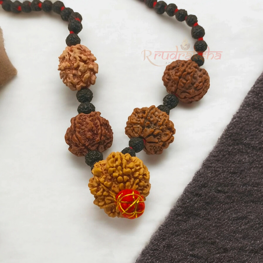 Shakti Samridhi Mala / 2,5,7,9 Mukhi Rudraksha Combination