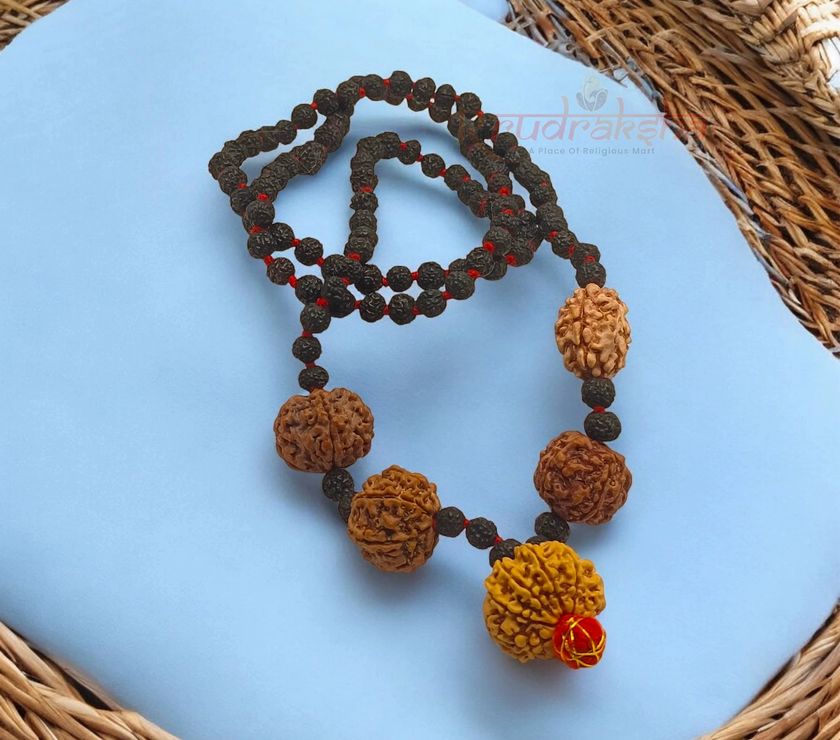 Shakti Samridhi Mala / 2,5,7,9 Mukhi Rudraksha Combination