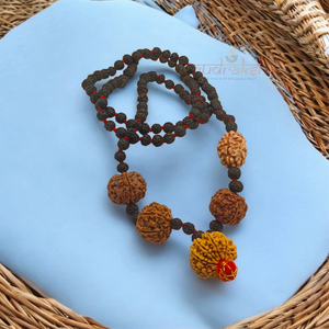 Shakti Samridhi Mala / 2,5,7,9 Mukhi Rudraksha Combination