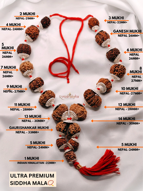 Ultra Premium Siddha Mala / Premium Nepali Siddha Mala