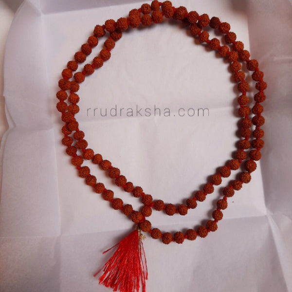 Lab Certified 5 Mukhi Rudraksha Mala Brown