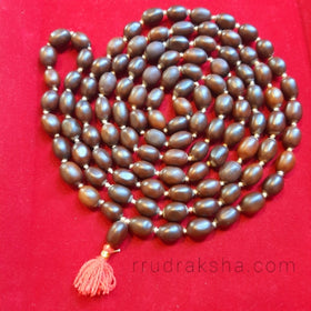 Kamal Gutta Mala (Lotus Seed Mala) - 108 Beads