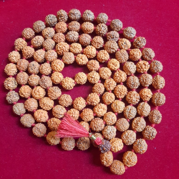 Lab Certified Punchmukhi Rudraksha Jaap Mala 11 MM