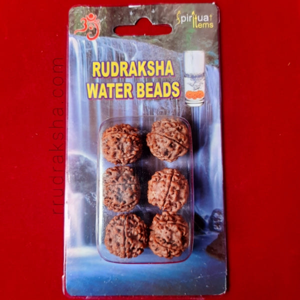 Rudraksha Water Beads For Curing Disease