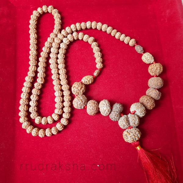 Indonesian 1-14 Mukhi Siddha Mala / Siddh Mala