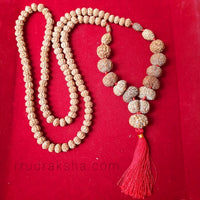 Indonesian 1-14 Mukhi Siddha Mala / Siddh Mala