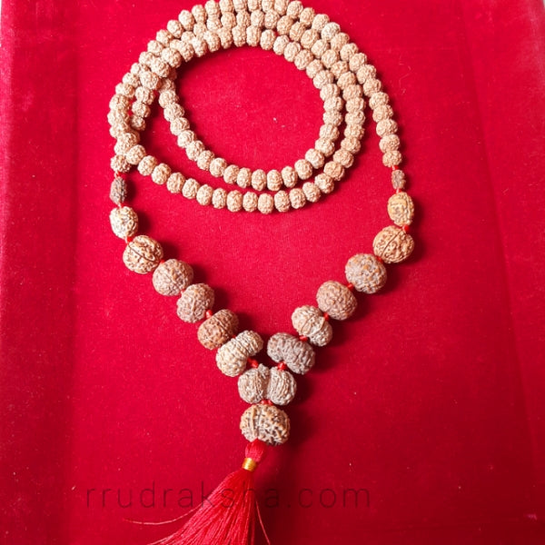 Indonesian 1-14 Mukhi Siddha Mala / Siddh Mala