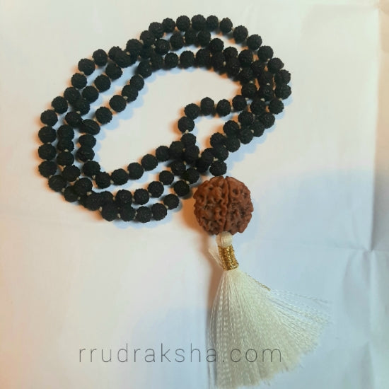 Nepali 5 Mukhi Rudraksha with Black Rudraksha Mala