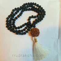 Nepali 5 Mukhi Rudraksha with Black Rudraksha Mala